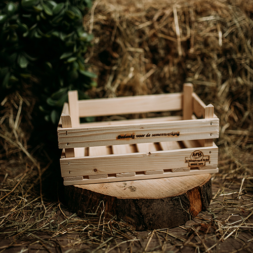 Houten kistje (middel)